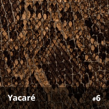 Yacaré 6